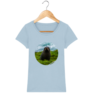 sky-blue_face