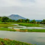 01-Panorama