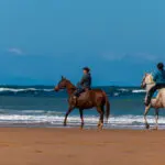 _DSC0011