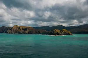 193nz