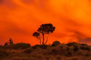 324nz