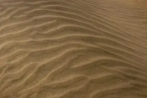 342