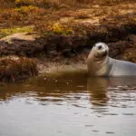 379