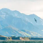 397