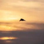483