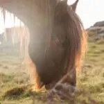512