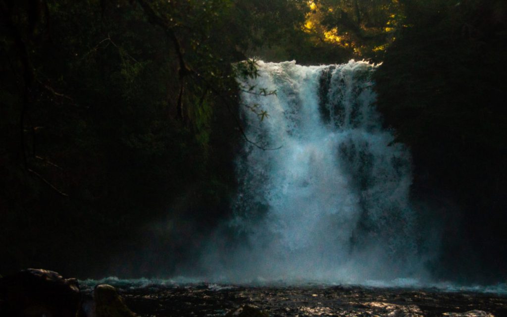Chute d'eau puissante jaillissant d'une forêt sombre, embruns éclairés à contre-jour