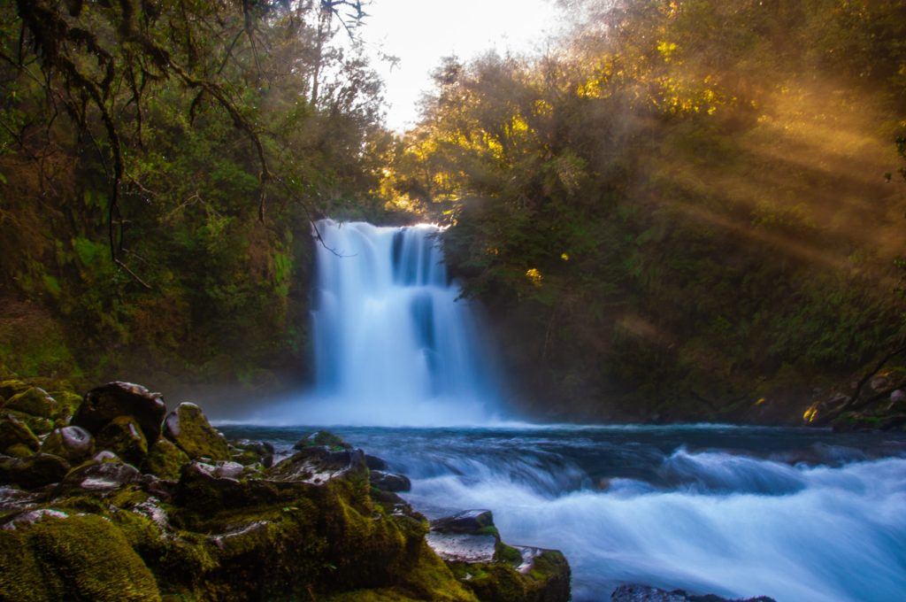 Cascade en pose longue dans une forêt humide traversée par des rayons de soleil dorés