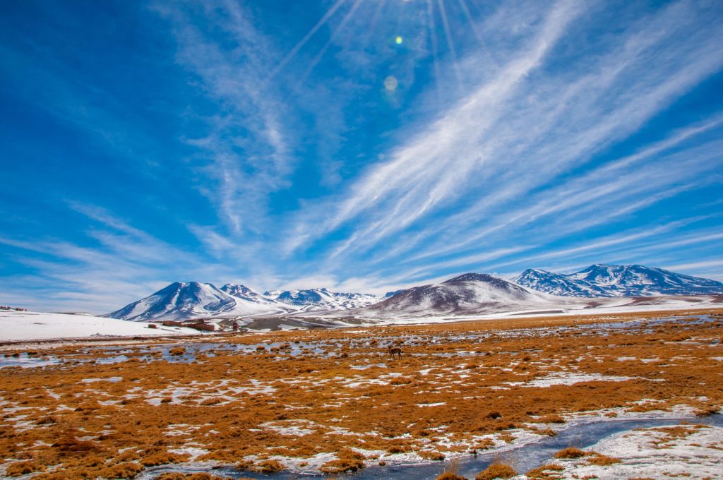 Vaste plaine d'altitude aux herbes dorées et plaques de neige, cirrus étirés dans le ciel
