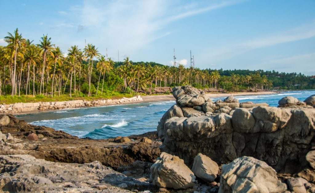 Rochers gris au premier plan, plage bordée de cocotiers et vagues turquoise