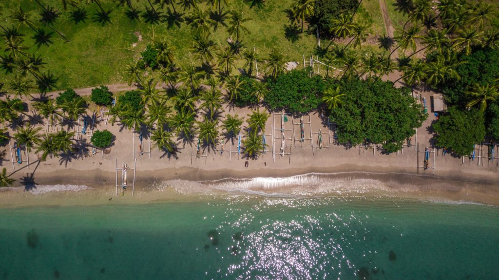 Vue aérienne verticale d'une plage bordée de cocotiers et de pirogues traditionnelles