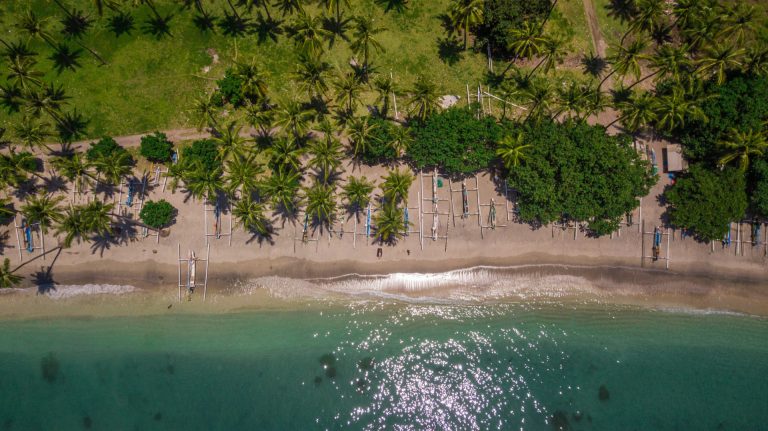 Vue aérienne verticale d'une plage bordée de cocotiers et de pirogues traditionnelles