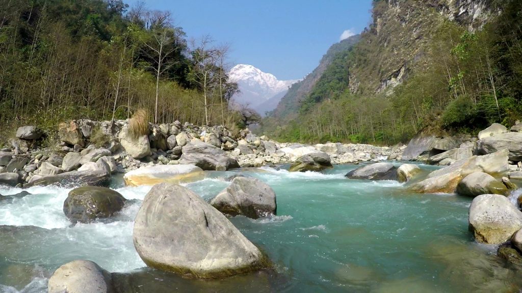 Rivière glaciaire aux eaux turquoise dévalant une vallée, sommet enneigé à l'horizon