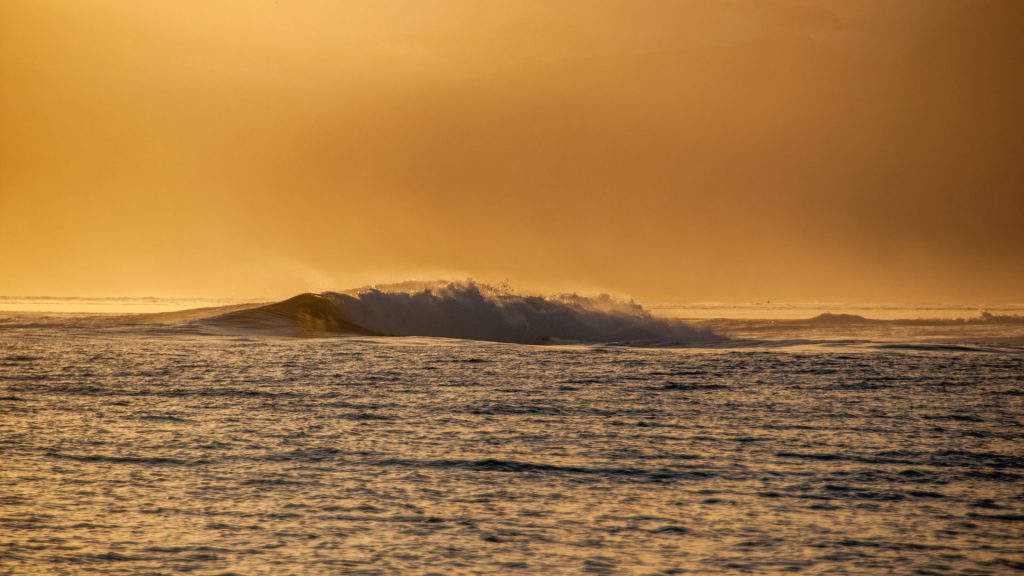 Vague déferlant au large dans une lumière dorée et brumeuse de fin de journée